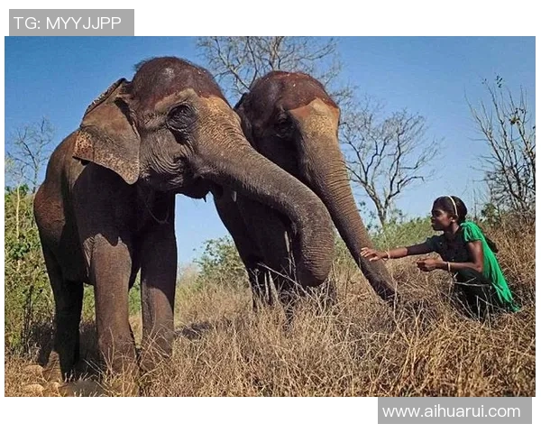 足球明星与空姐亲密合影展现职业魅力与青春活力的完美瞬间