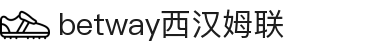 BETWAY·必威(西汉姆联)官方网站-West Ham United
